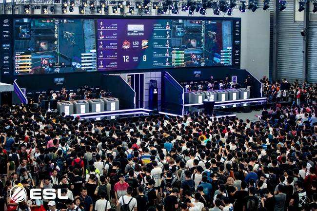 年来备受关 年来备受关